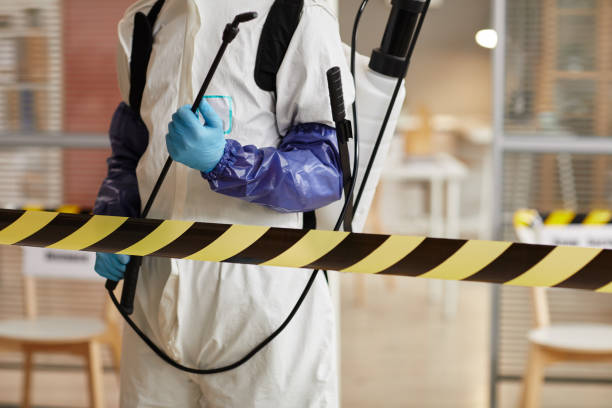 Professional Sewage Cleanup technician working in Birmingham, NJ