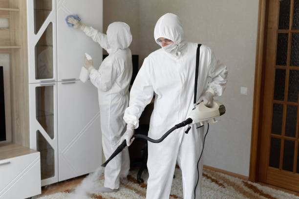 24/7 Emergency Sewage Cleanup experts in Birmingham, NJ